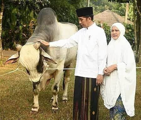 Presiden Jokowi Akan Salat Iduladha 1444 H di Istana Yogyakarta Bersama Masyarakat