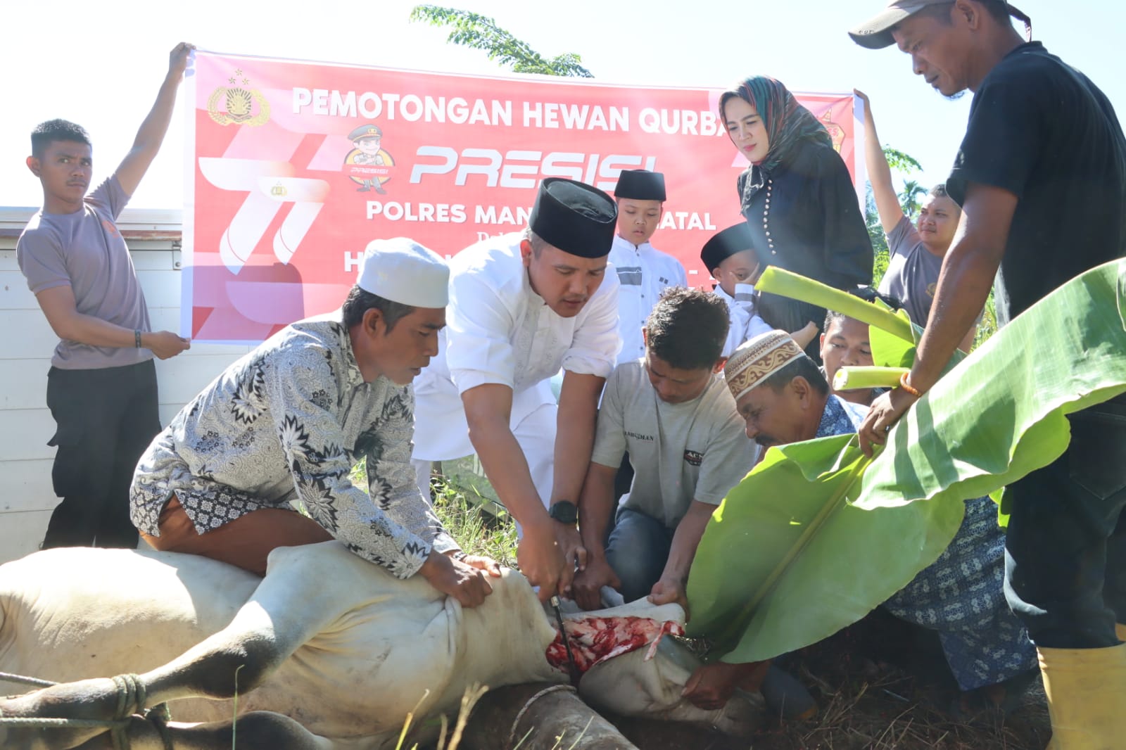 Polres Mandailing Natal Rayakan Idul Adha dan Potong Hewan Qurban 1443 H/2023 M