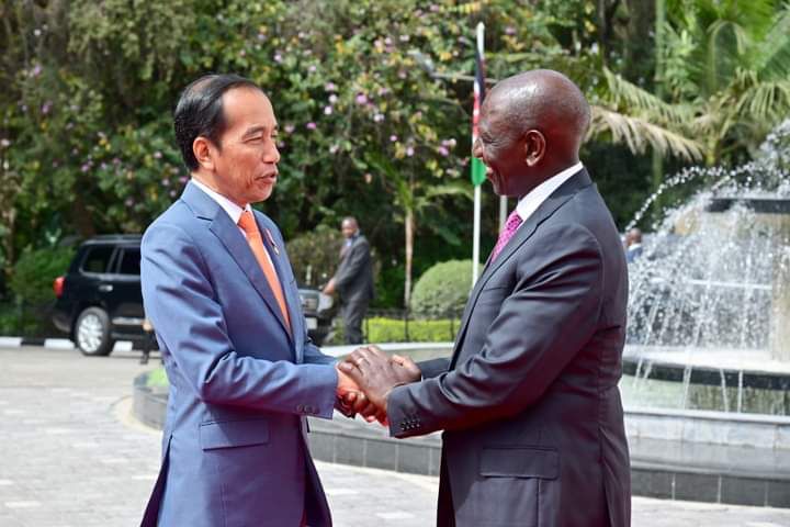 Hari Kedua di Kenya, Presiden Jokowi Lakukan Pertemuan Bilateral Dengan Presiden William Ruto